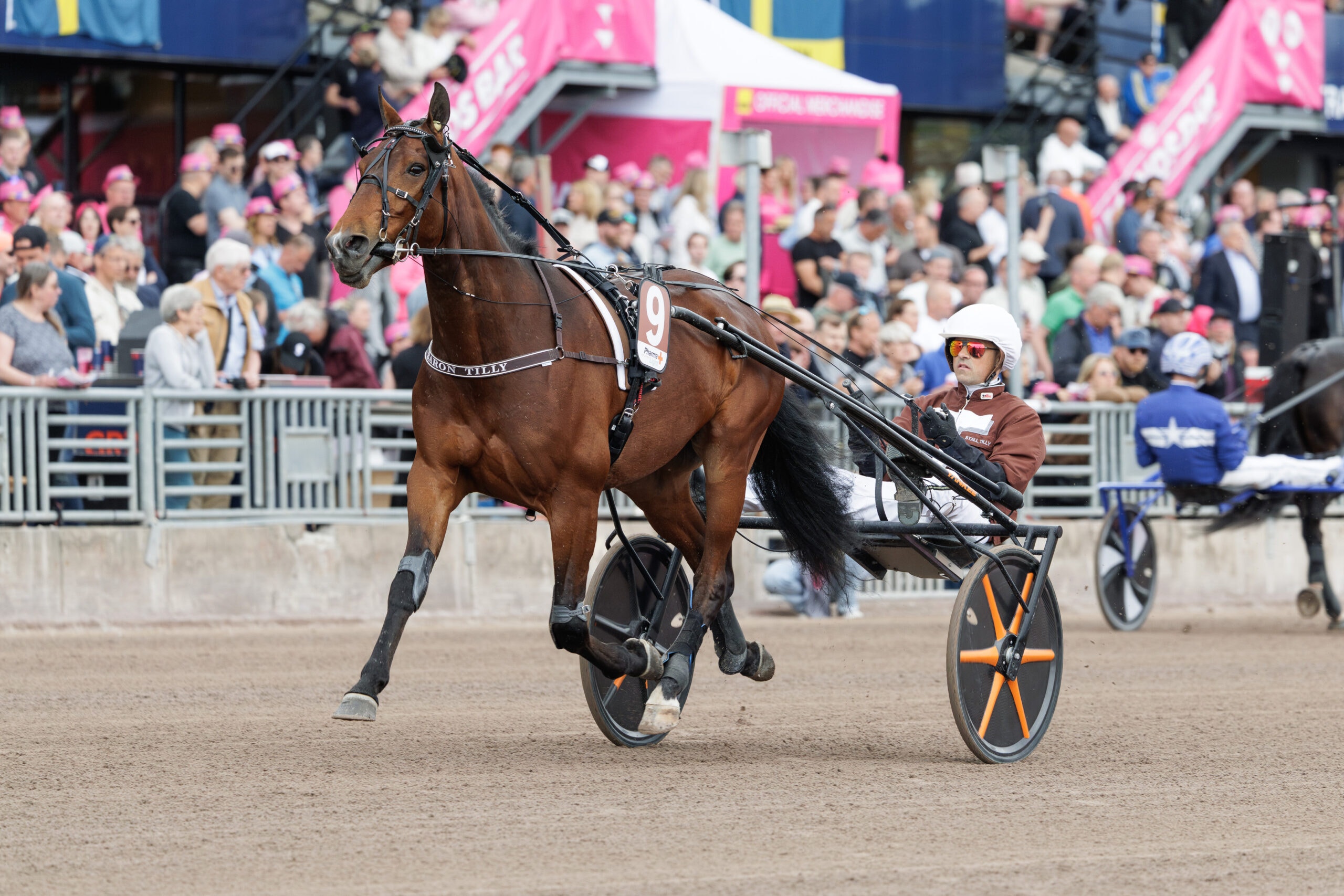 En brun häst med kusken i röd jacka kör ett travlopp på en sandbanor. Hästen drar en svart vagn med gula hjul. Åskådare sitter längs banan bakom vita räcken, och rosa och blå strukturer syns i bakgrunden.