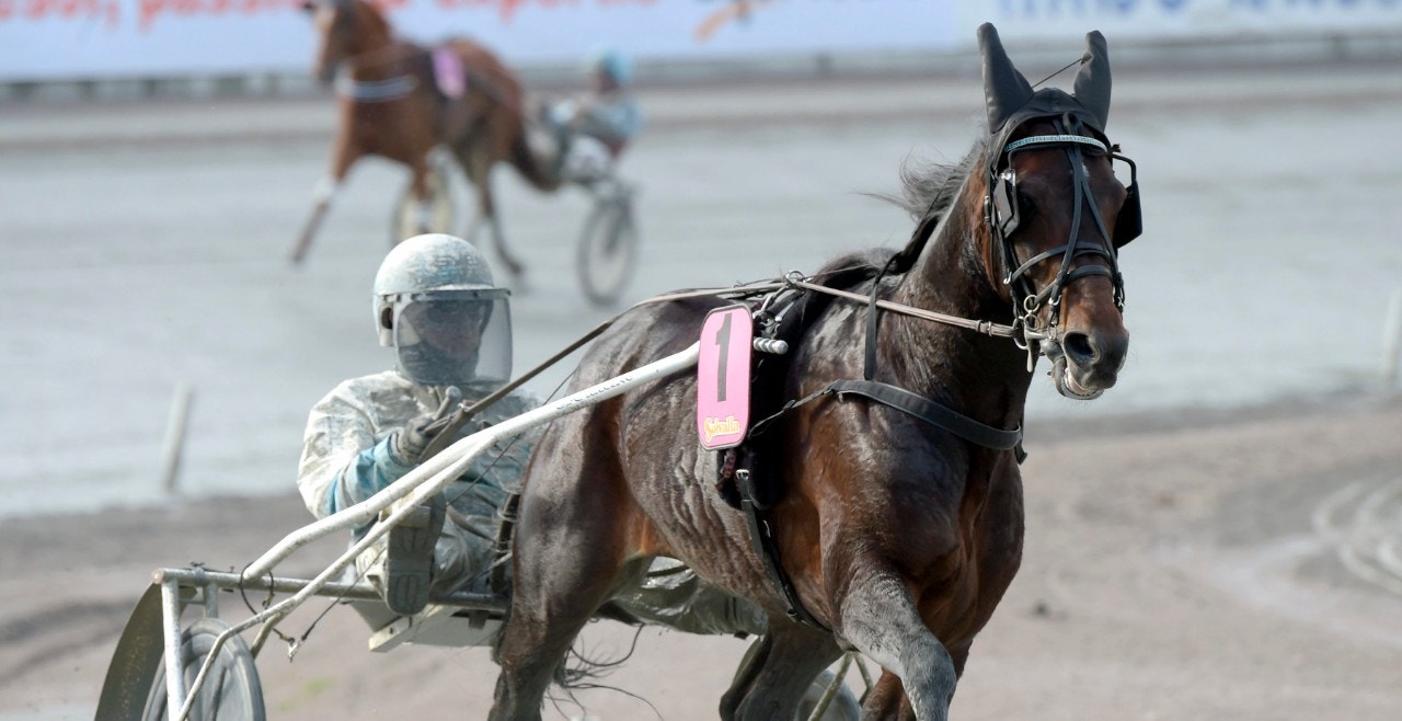 Mästerlig Missle Hill