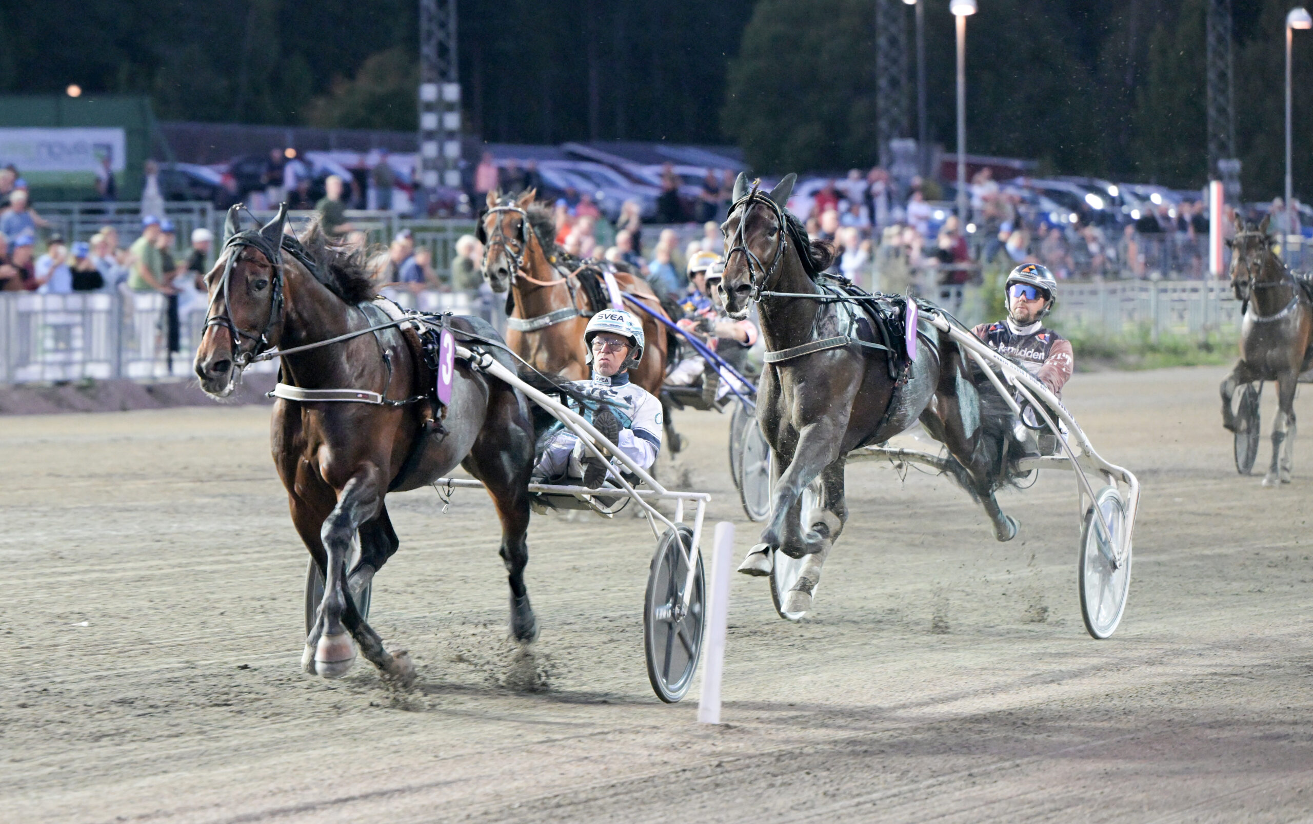 Foto: Lars Jakobsson, TR Bild