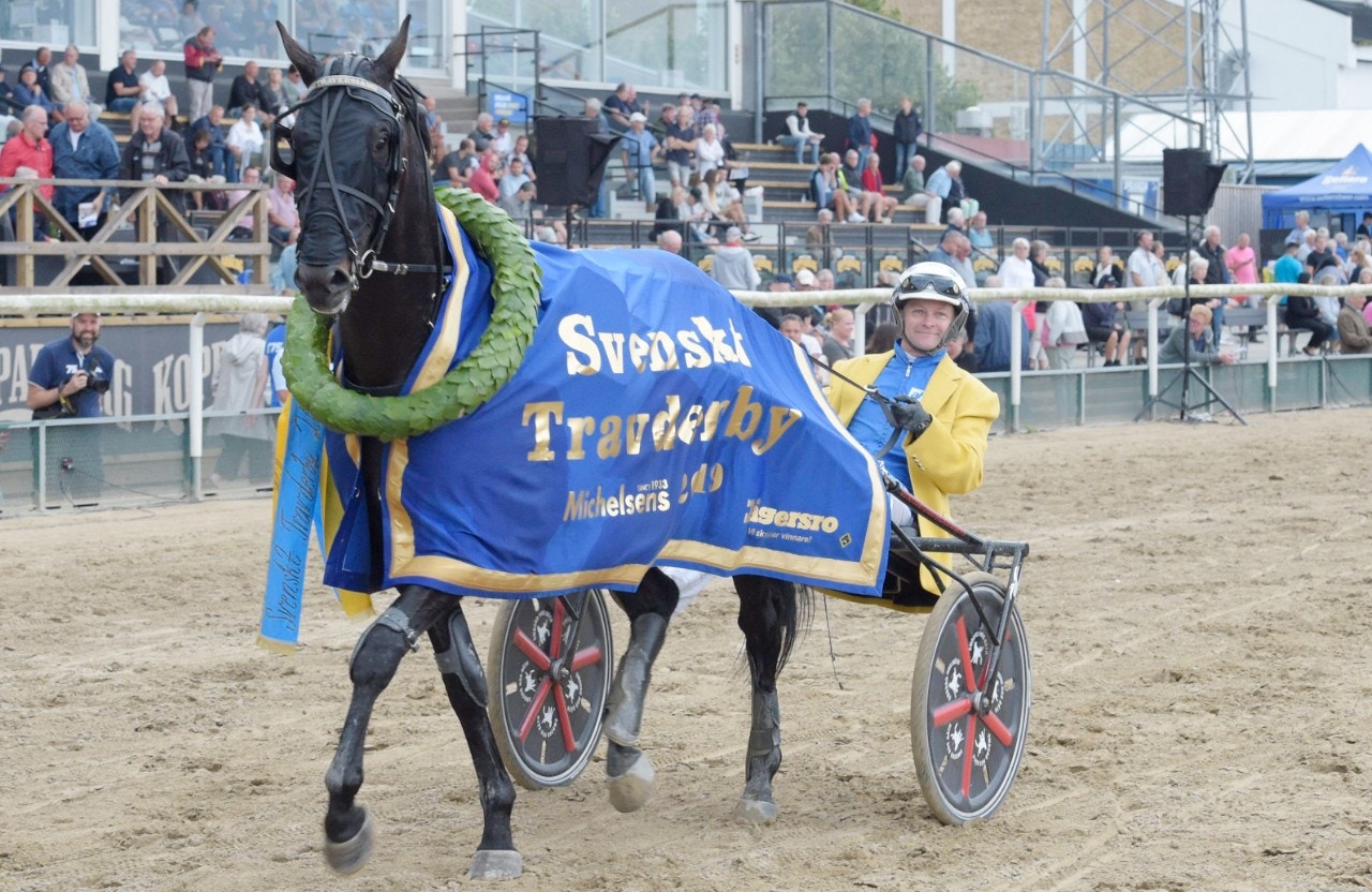 Attraversiamo segerdefilerar efter Derbyt i fjol. På söndag är det dags igen på Jägersro. Foto: Leif Norberg, ALN