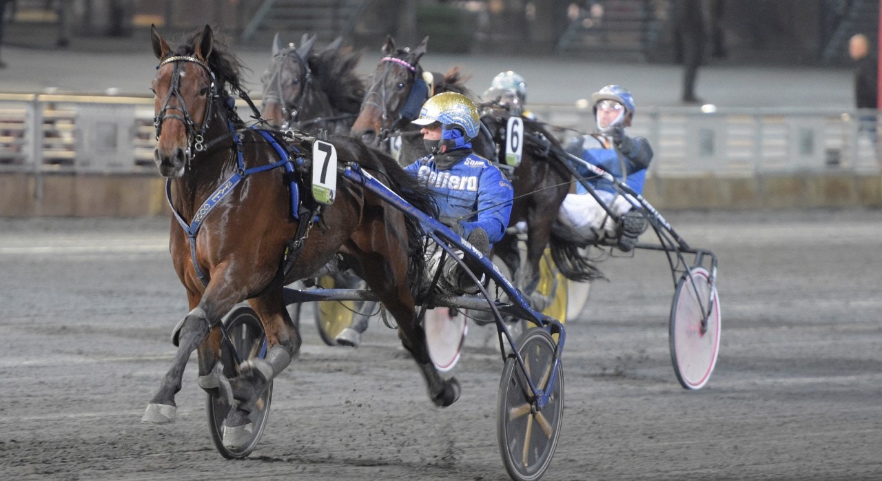 Solvalla 26 december: Bra feeling för Pine Muscle!