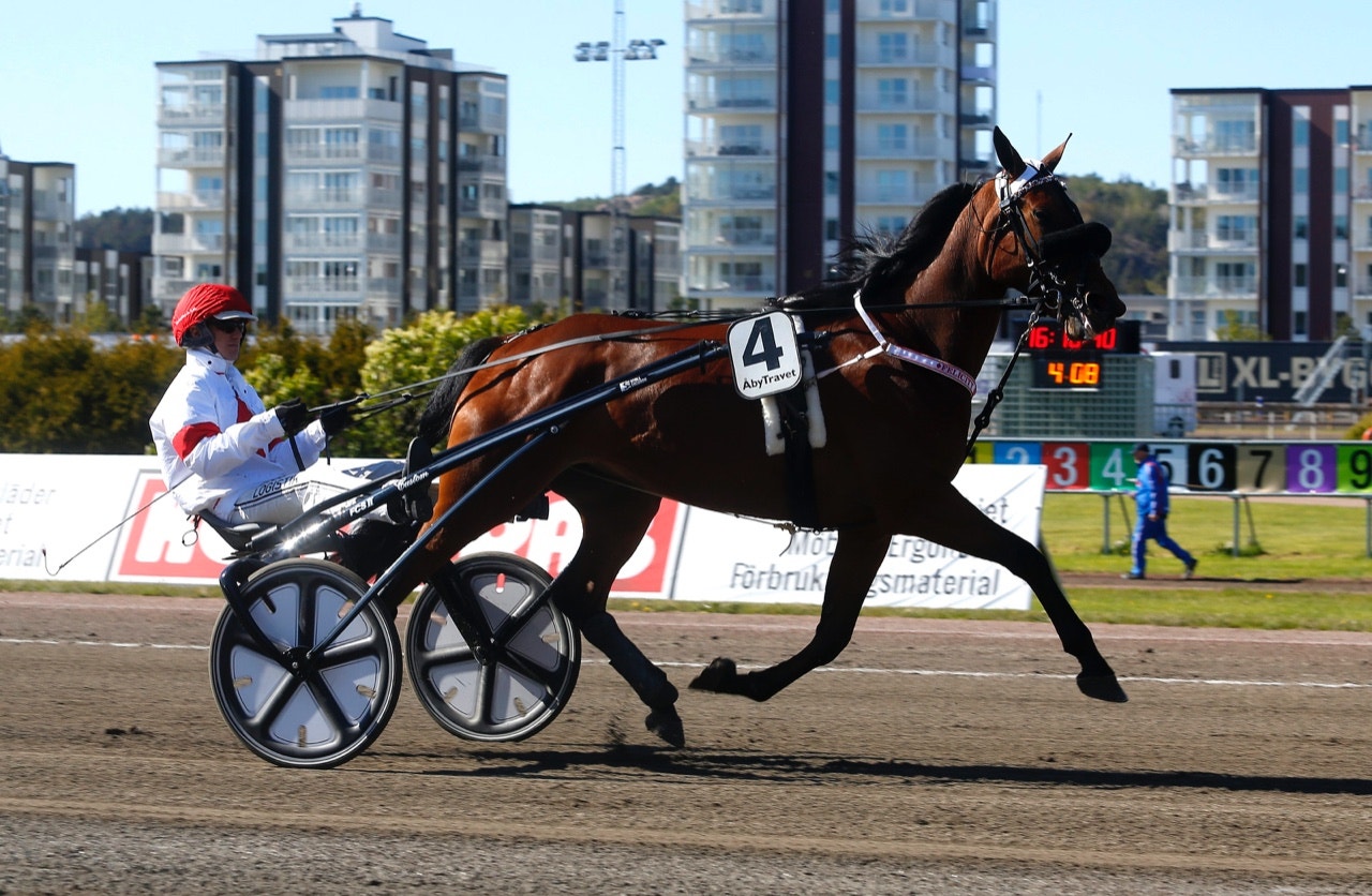 Felicity Shagwell drar till staterna och kommer tränas av Åke Svanstedt - Foto: ALN
